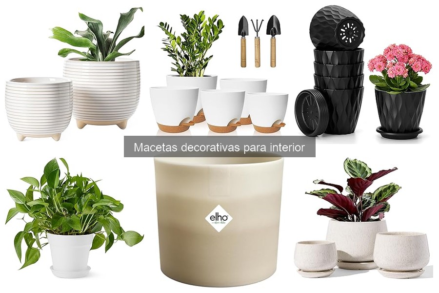 Mantenimiento de Macetas Decorativas: Cuidado y Limpieza