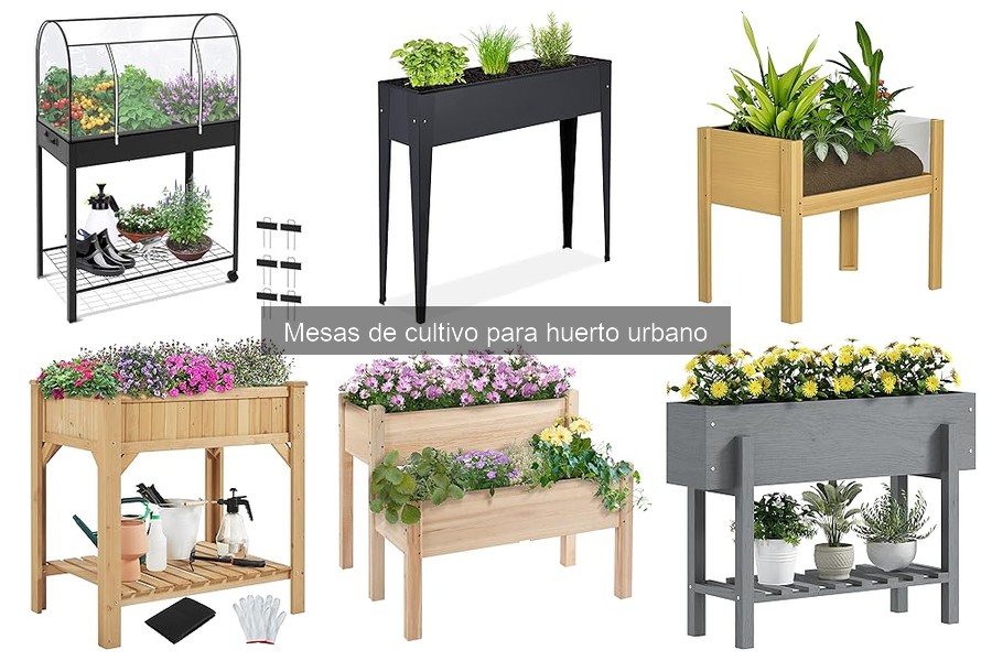 Mantenimiento de Mesas de Cultivo: Consejos Prácticos