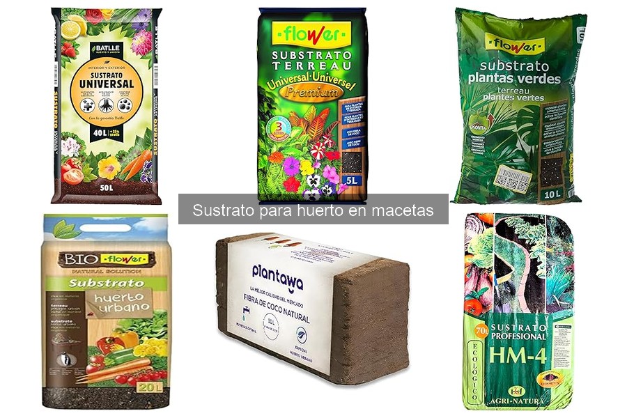 Mantenimiento de Sustratos en Macetas para Huertos Efectivos