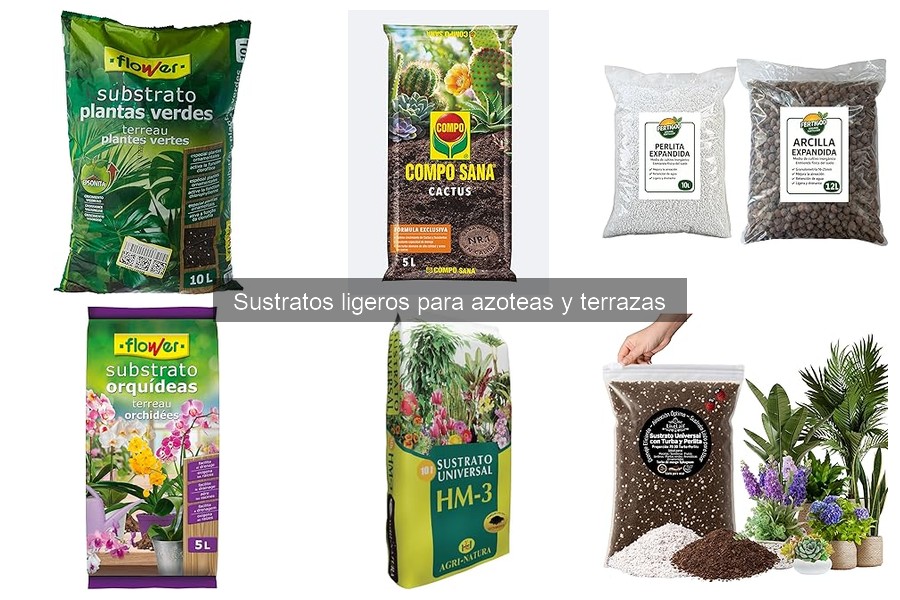 Mantenimiento de Sustratos Ligeros en Azoteas y Terrazas