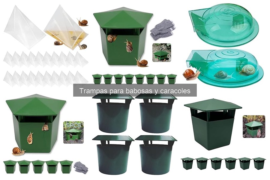 Mantenimiento de trampas para babosas y caracoles en el jardín