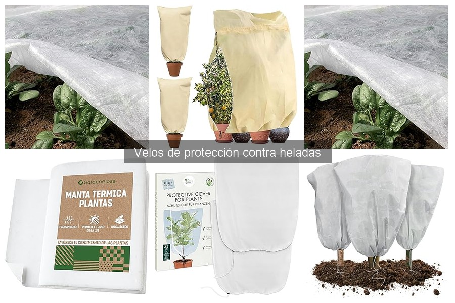 Mantenimiento de velos de protección contra heladas