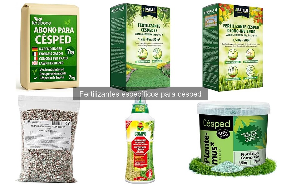 Mantenimiento del césped después de la fertilización