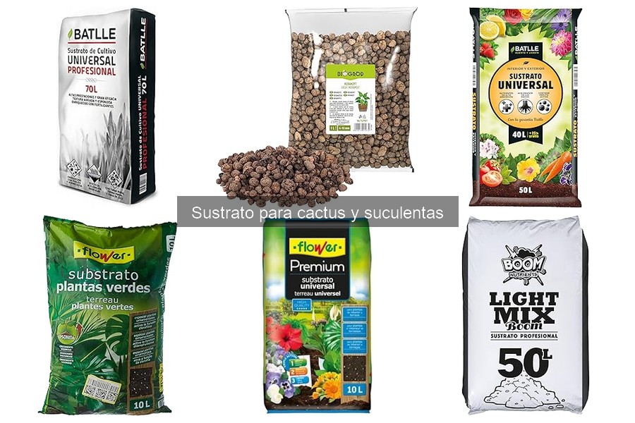 Mantenimiento del sustrato para cactus y suculentas