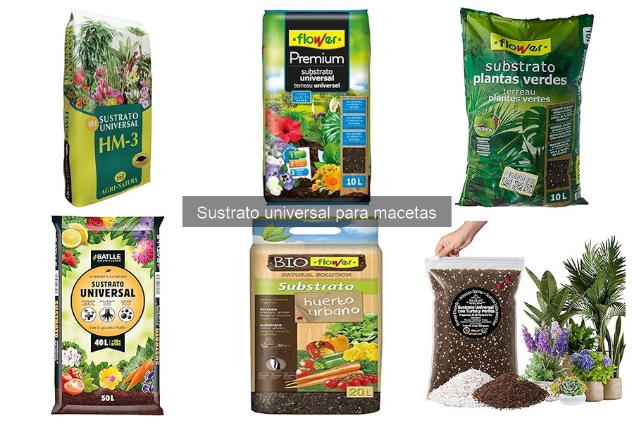 Mantenimiento del sustrato universal en macetas: guía práctica