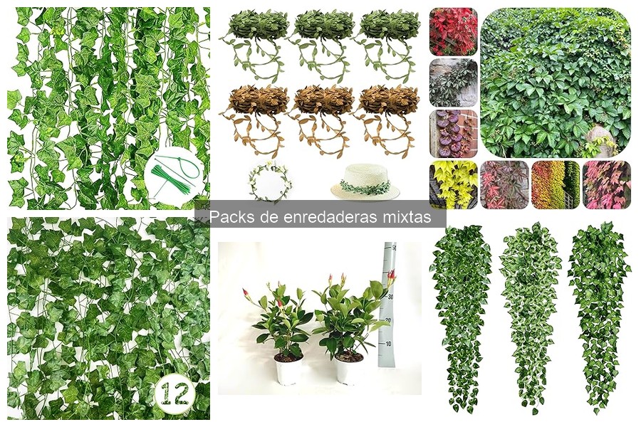 Mantenimiento Estacional de Packs de Enredaderas Mixtas