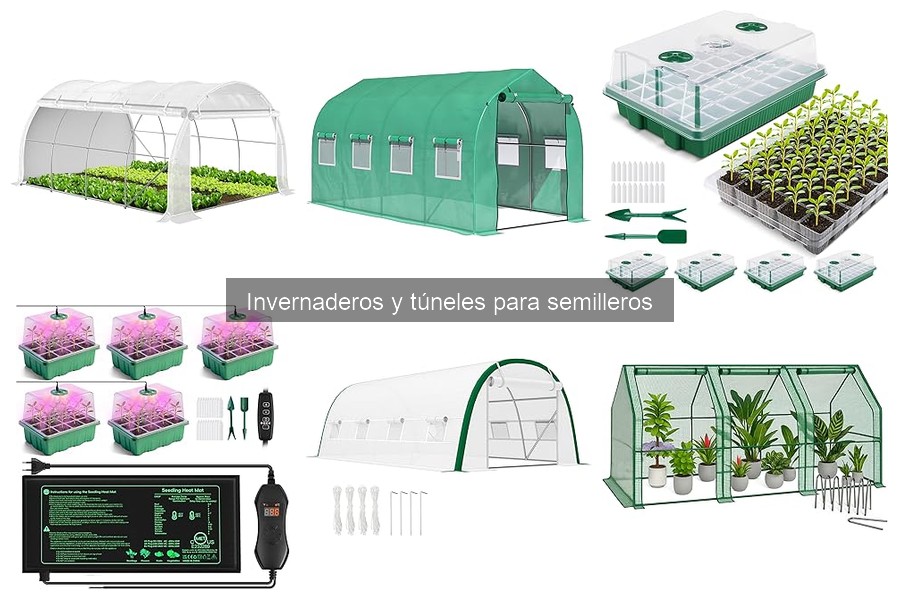 Mantenimiento y cuidados esenciales para invernaderos