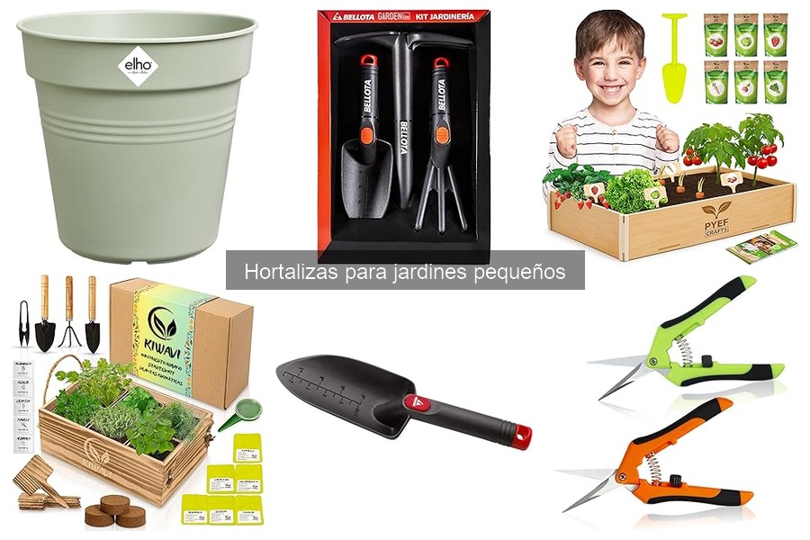 Mejor época del año para cultivar hortalizas en jardínes pequeños