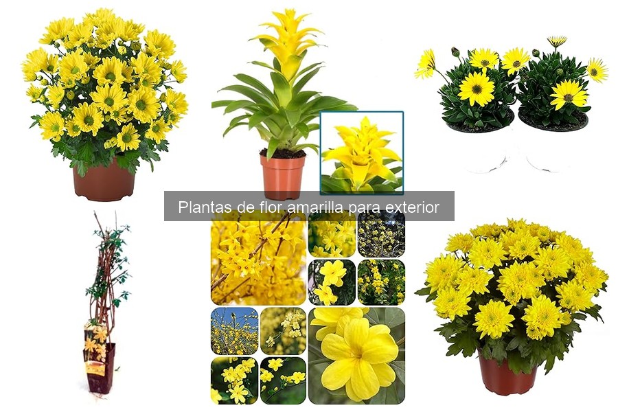 Mejor época para plantar flores amarillas en tu jardín