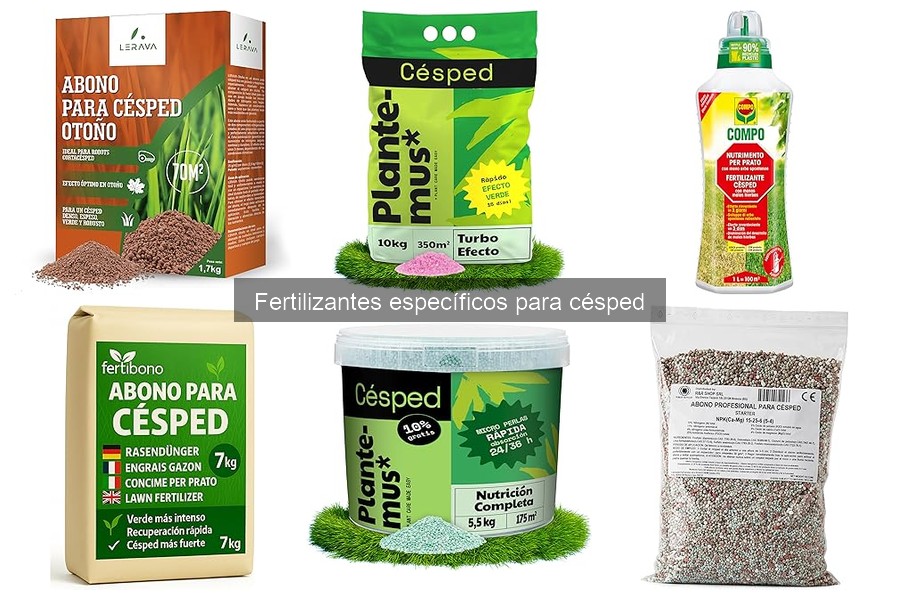 Mejor momento para fertilizar el césped en cada temporada