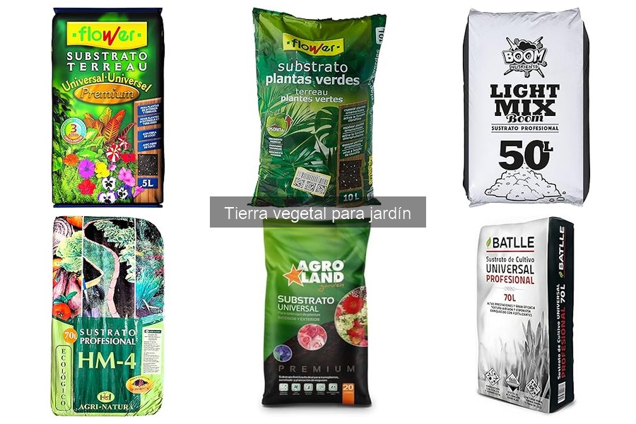 Mejora la Tierra Vegetal de tu Jardín: Consejos Prácticos