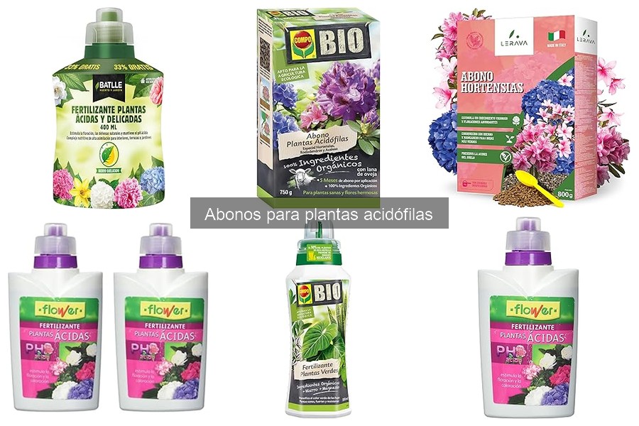 Mejores abonos para plantas acidófilas en 2023