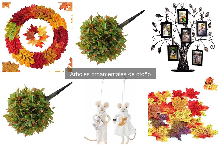 Mejores árboles ornamentales para jardines pequeños
