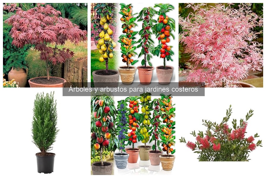 Mejores árboles para jardines costeros con poco riego