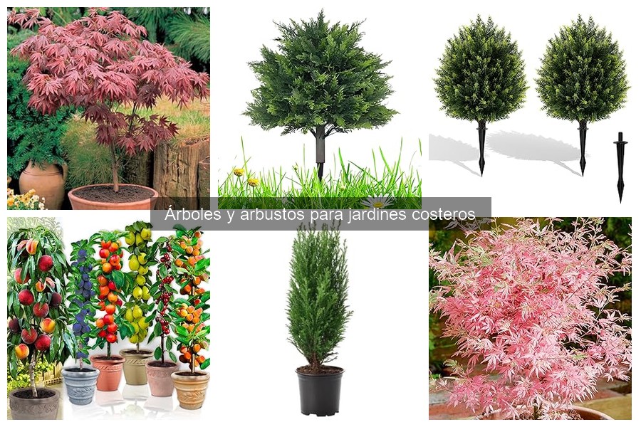 Mejores arbustos para setos en jardines costeros