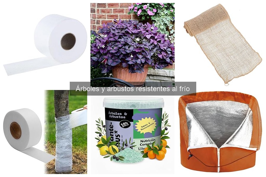 Mejores arbustos resistentes al frío para jardinería urbana