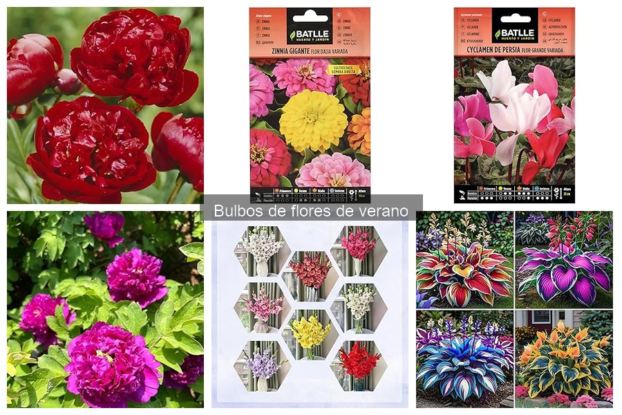 Mejores bulbos de flores de verano para jardines pequeños