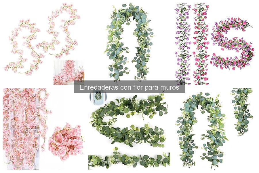 Mejores enredaderas con flor para muros en climas cálidos