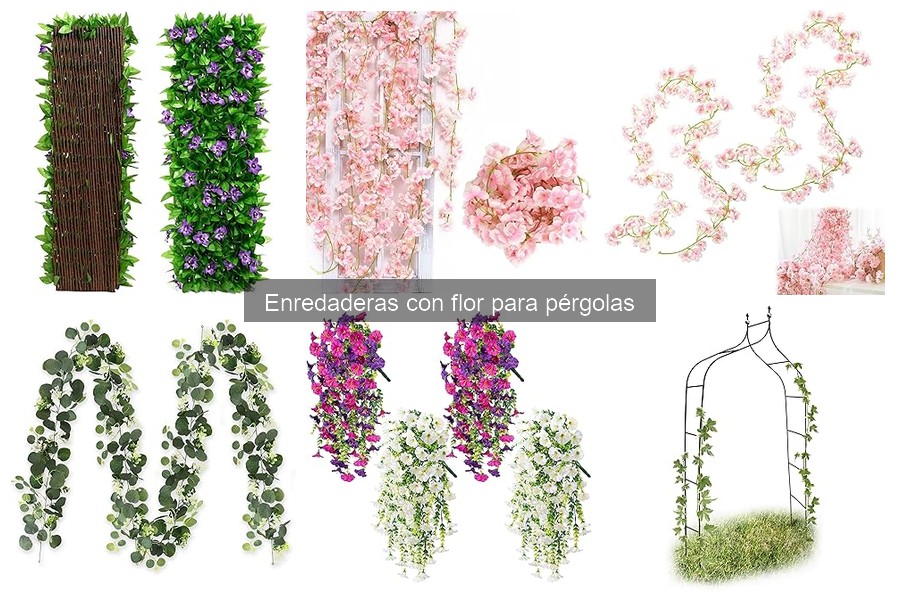 Mejores enredaderas con flor para pérgolas en tu jardín