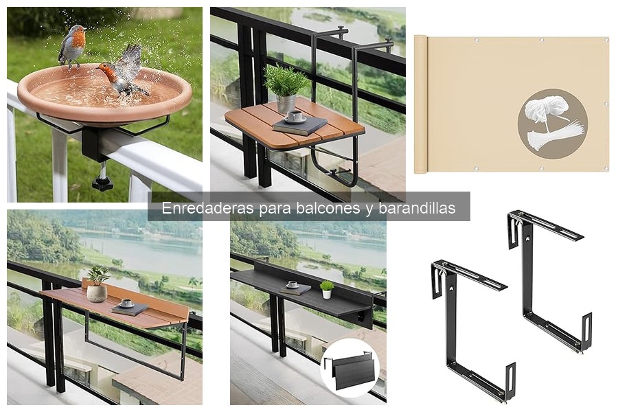 Mejores enredaderas para balcones soleados: comparativa 2023