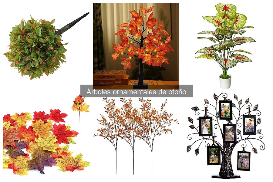 Mejores fertilizantes para árboles ornamentales en otoño