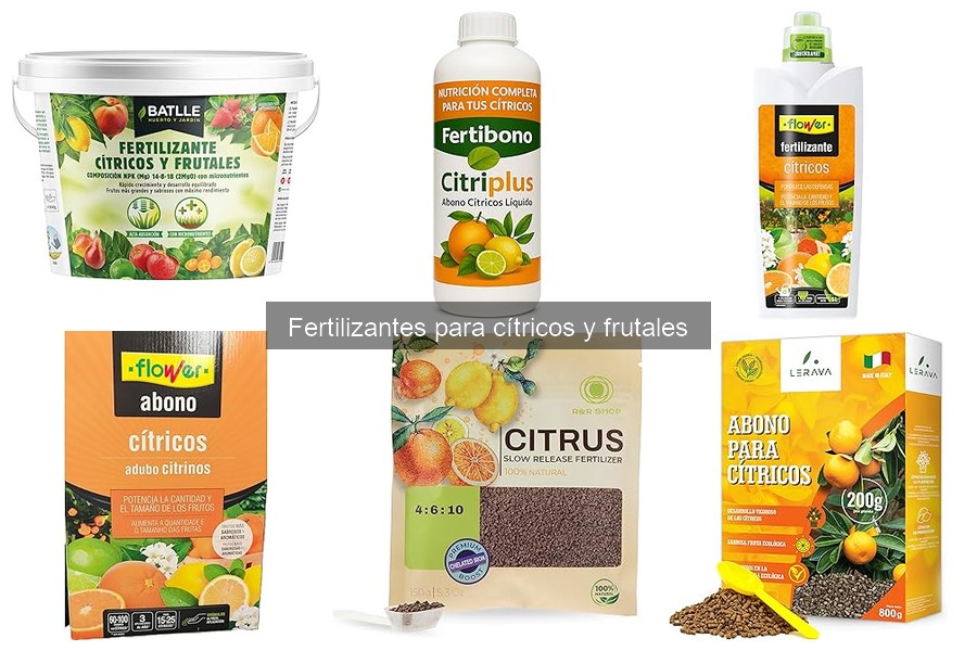 Mejores fertilizantes para cítricos en macetas 2023