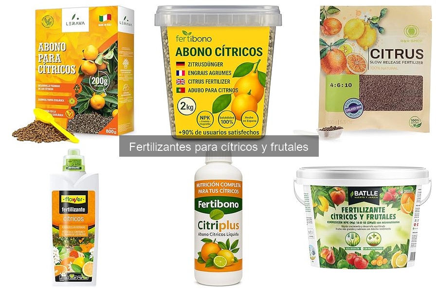 Mejores fertilizantes para cítricos: guía completa