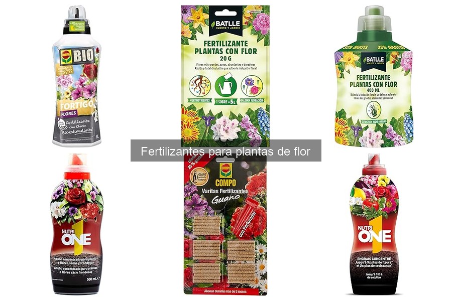 Mejores fertilizantes para plantas de flor de interior
