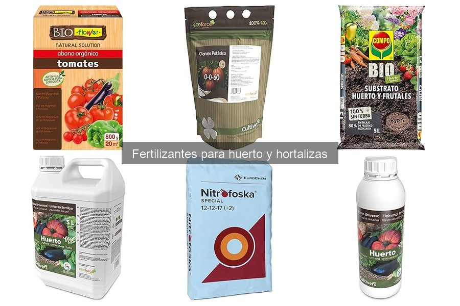 Mejores fertilizantes para tomates en huertos caseros