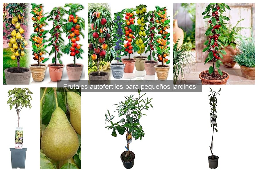 Mejores frutales autofértiles para pequeños jardines
