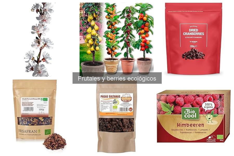 Mejores frutales para cultivar en climas cálidos | Guía 2023