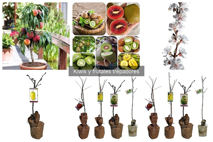 Mejores frutales trepadores para huertos pequeños