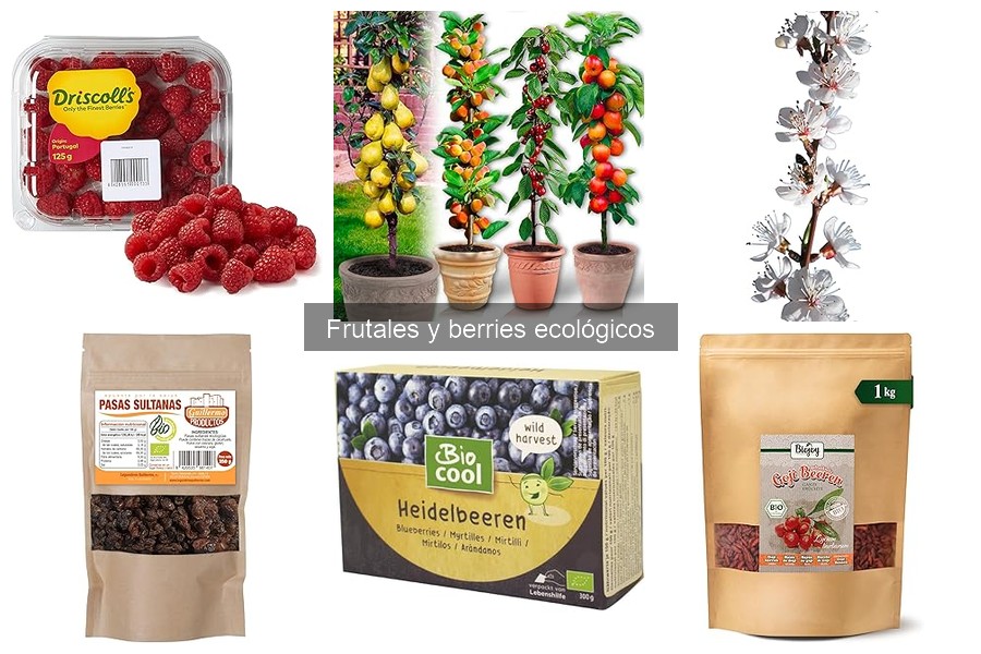 Mejores frutales y berries ecológicos para atraer polinizadores