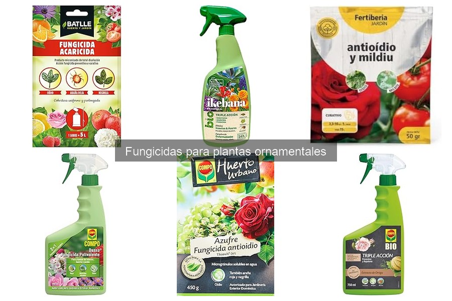 Mejores fungicidas para jardín ornamental: guía para principiantes