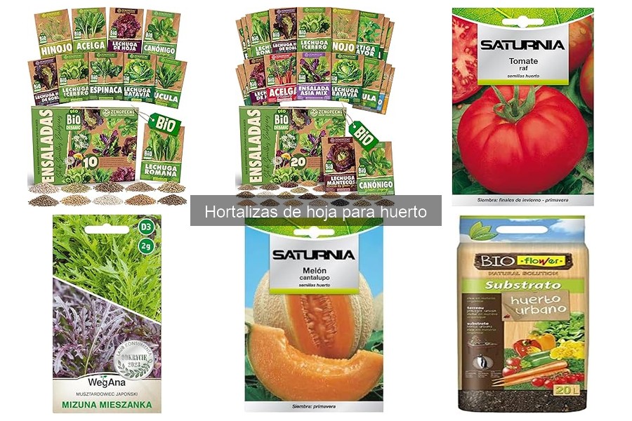 Mejores hortalizas de hoja para huertos pequeños