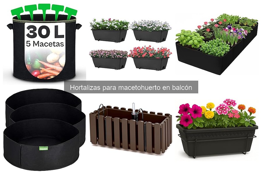 Mejores hortalizas para cultivar en tu balcón