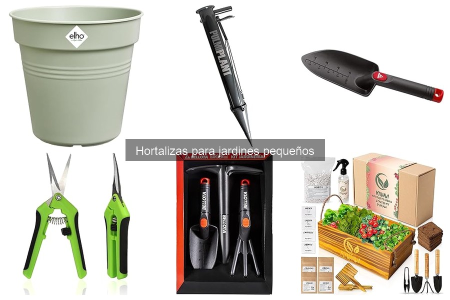 Mejores Hortalizas para Principiantes en Jardines Pequeños