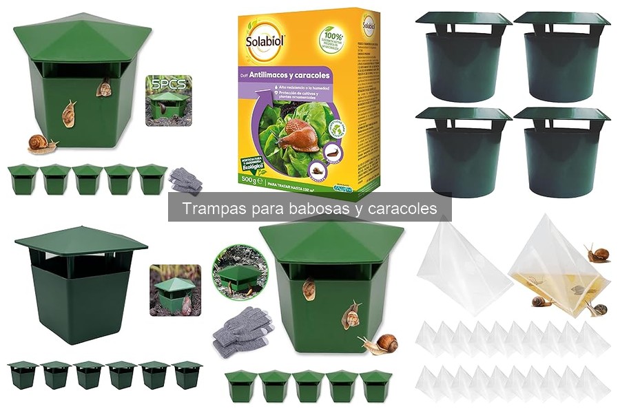 Mejores ingredientes para trampas caseras de babosas y caracoles