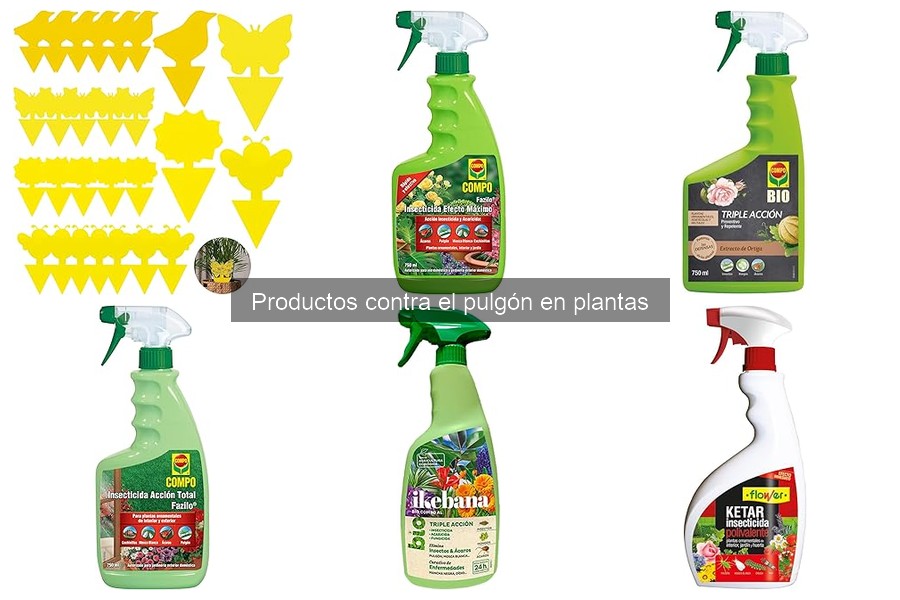 Mejores insecticidas para pulgones: comparativa de marcas