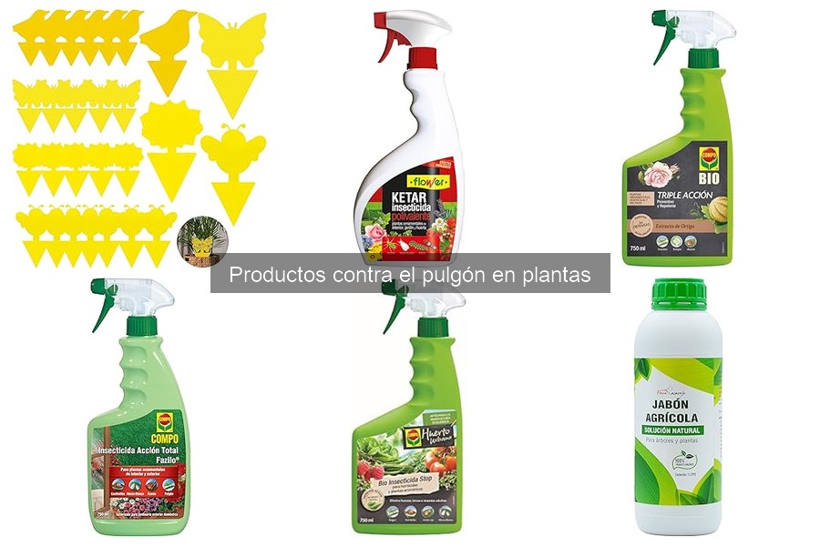 Mejores insecticidas para pulgones en plantas interiores
