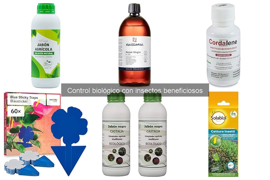 Mejores insectos beneficiosos para plagas en el jardín