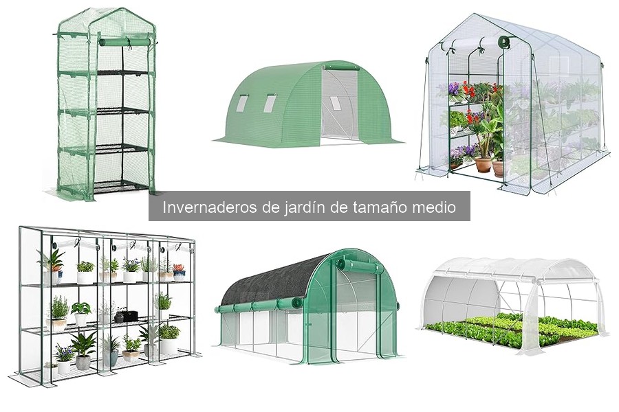 Mejores invernaderos de jardín de tamaño medio para novatos