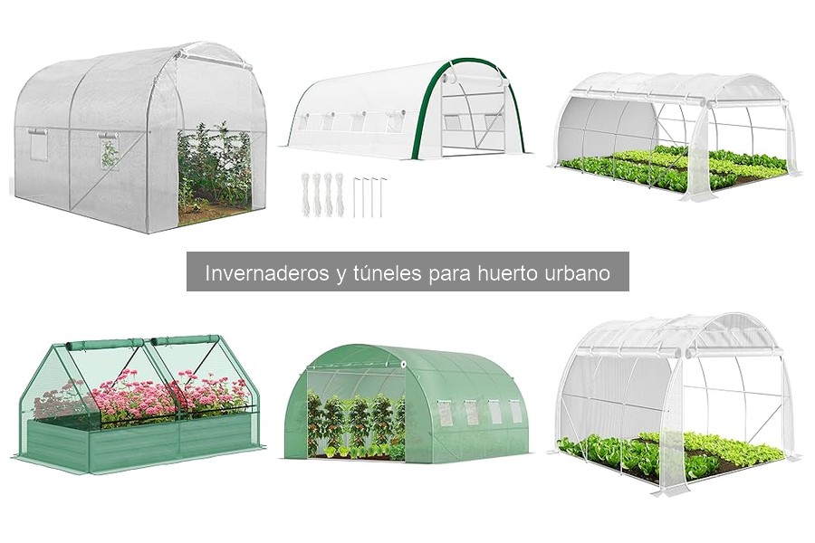 Mejores invernaderos para principiantes en jardinería