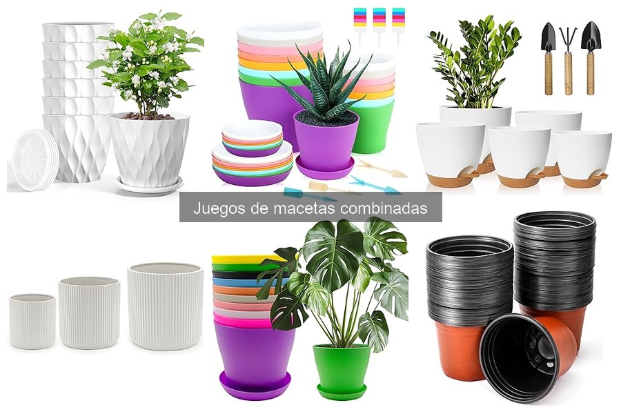 Mejores juegos de macetas combinadas de 2023: comparativa