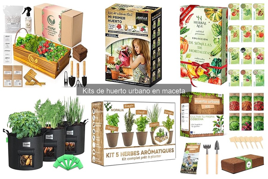 Mejores kits de huerto urbano para apartamentos en 2023