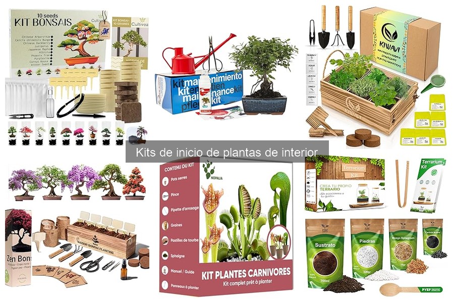 Mejores kits de inicio de plantas de interior para principiantes