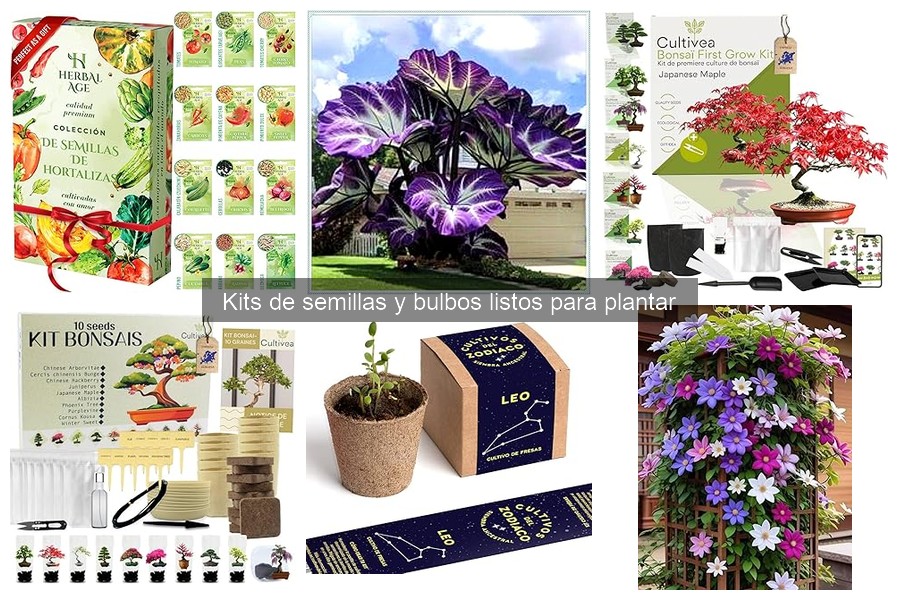 Mejores kits de semillas para jardineros principiantes