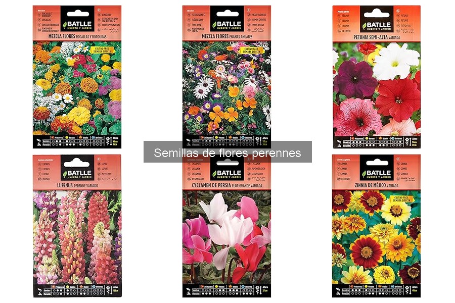 ** Mejores lugares para comprar semillas de flores perennes a buen precio