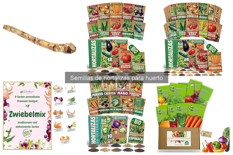 Mejores lugares para comprar semillas de hortalizas baratas