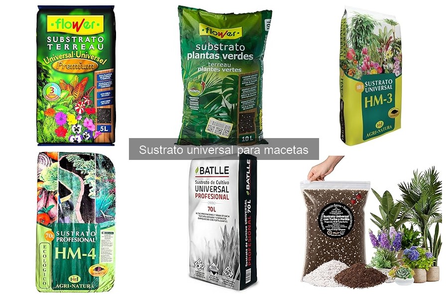 Mejores lugares para comprar sustrato universal para macetas